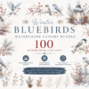 Winter birds Watercolor Clipart Bundle | 100 PNG Winter Birds & Berries Illustrations | Snowy Birdhouse, Nest, Pinecones, Botanical Elements